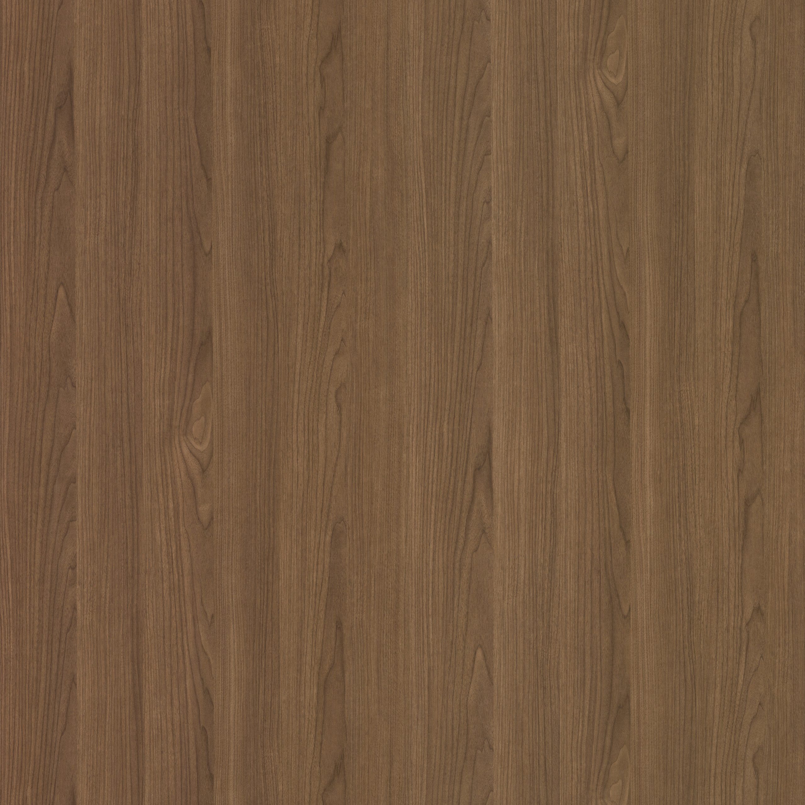5205 Wood Grain -5205 - English Version - Image 1