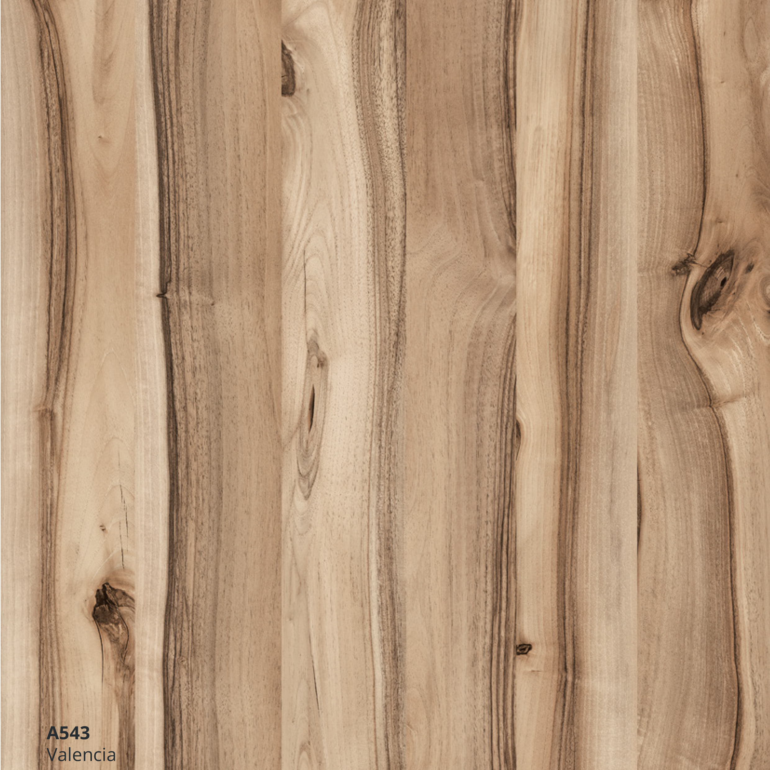 A543 A543 - الصورة 1