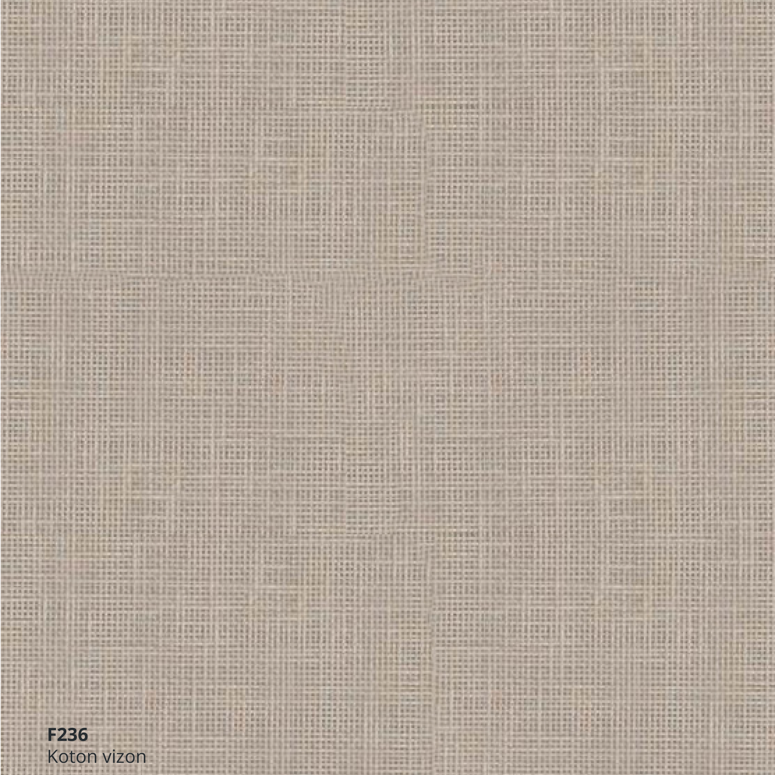 F236 F236 - الصورة 1